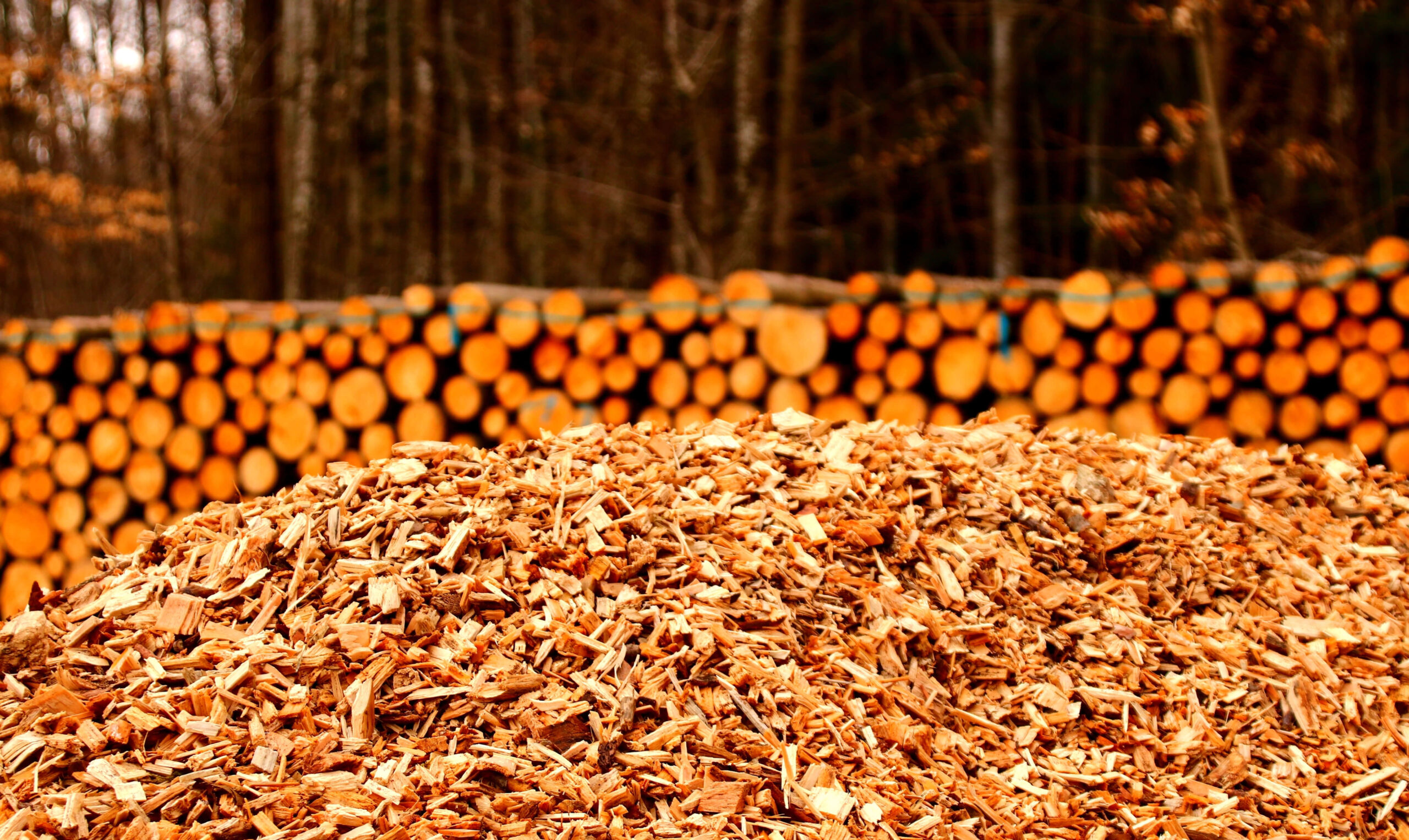 Hackschnitzel für Heizanwendungen