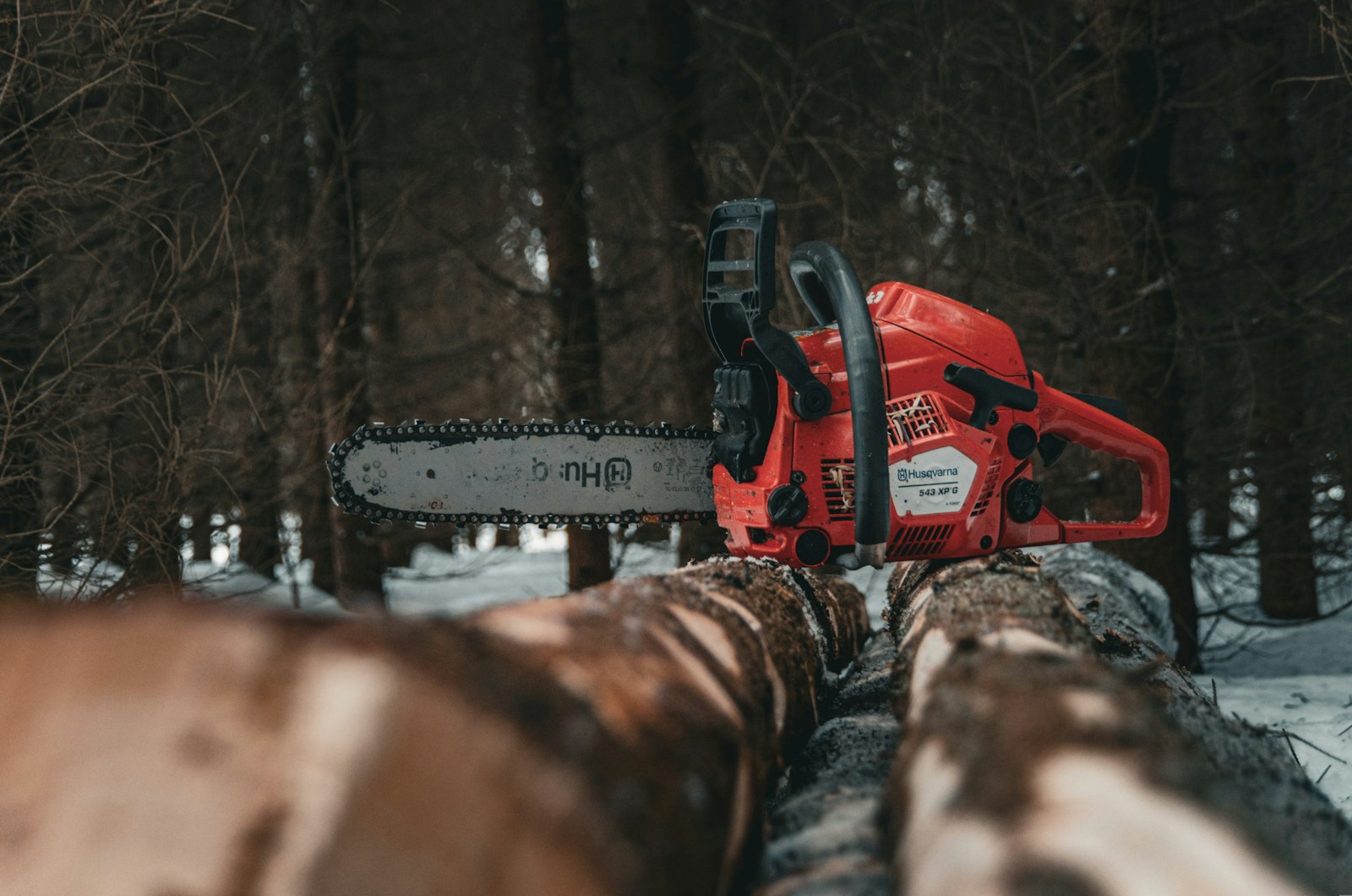 Wald und Holz – Forstwirtschaft